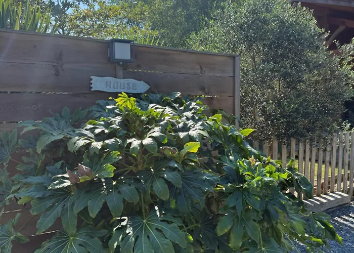 펜션 La D' Esting 미미장플라즈